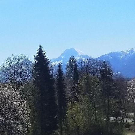 Ferienwohnung In Karnten Villach Dış mekan fotoğraf