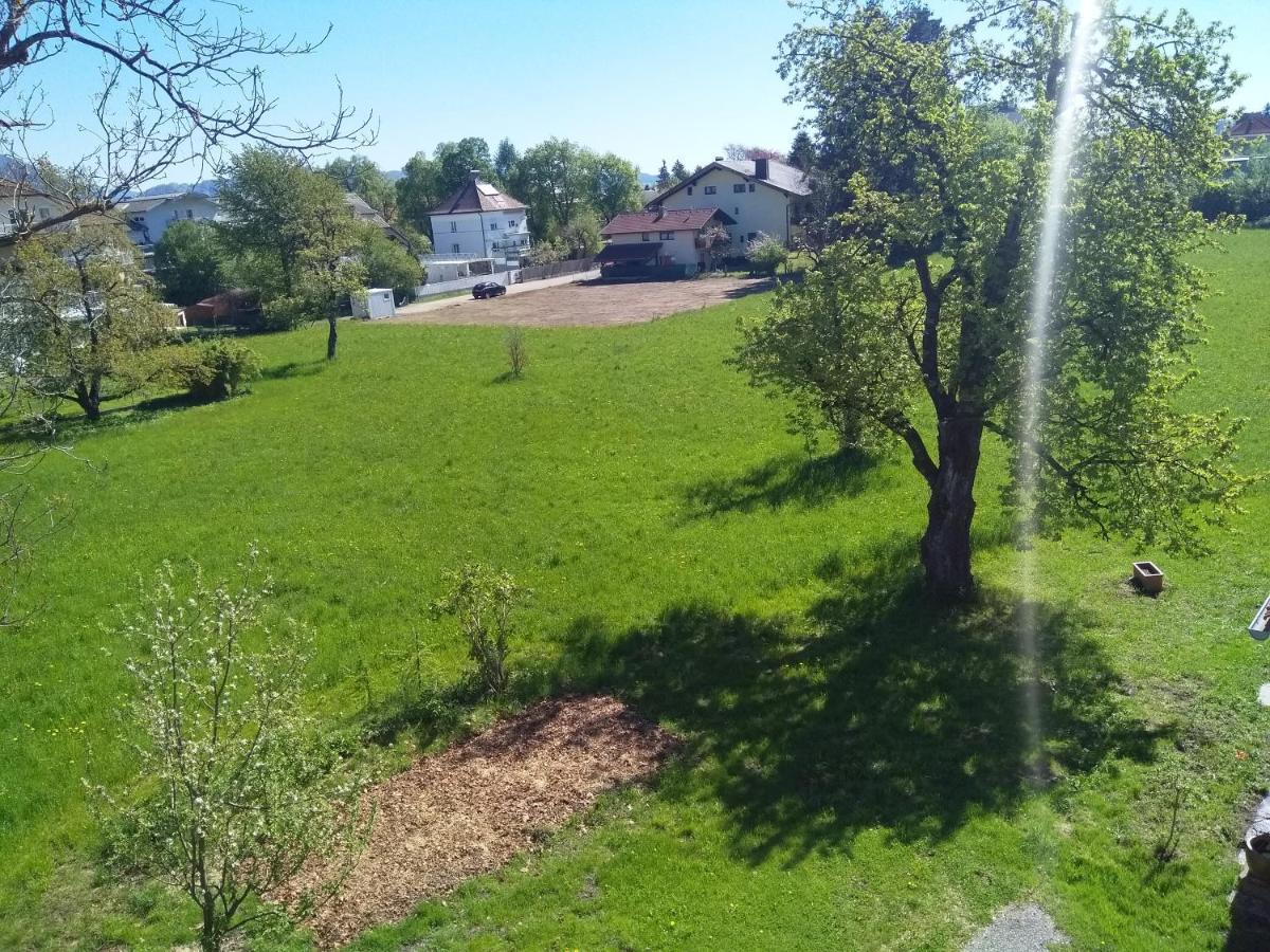 Ferienwohnung In Karnten Villach Dış mekan fotoğraf