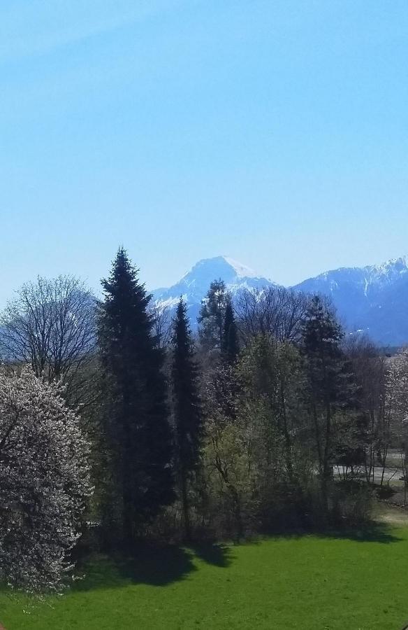 Ferienwohnung In Karnten Villach Dış mekan fotoğraf